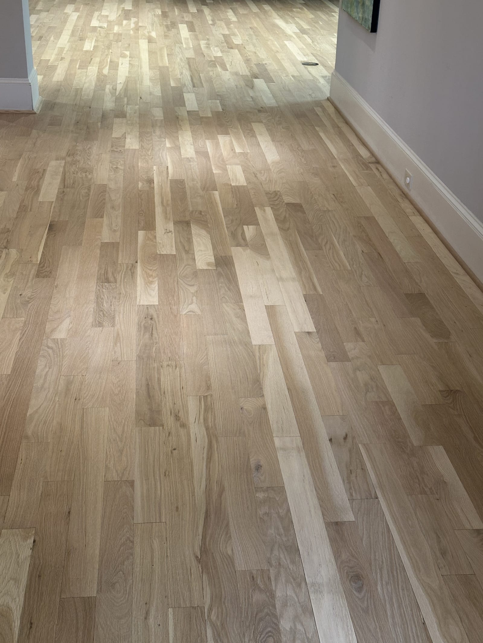 Gray luxury vinyl plank, full room